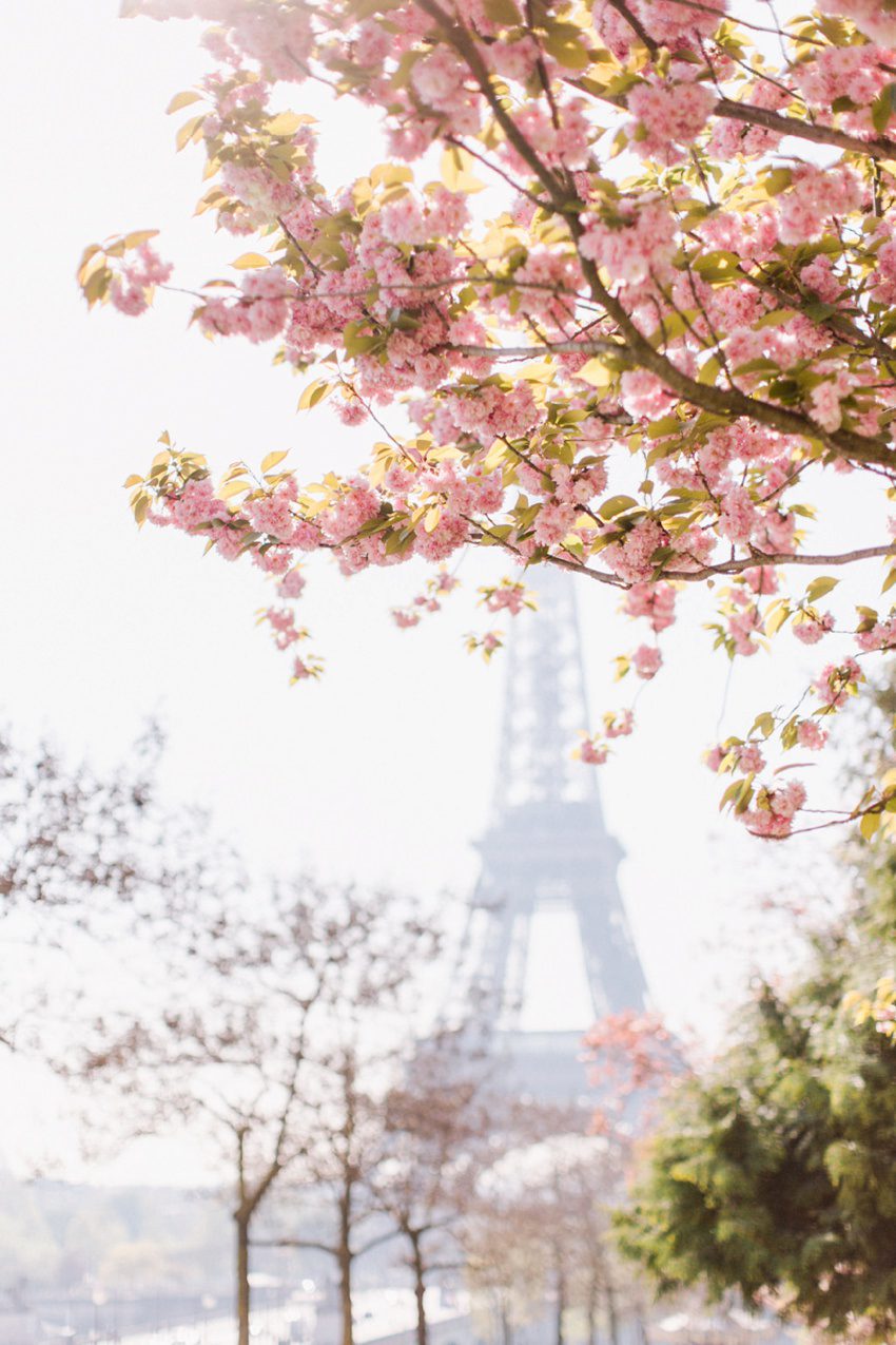 photographe famille seance mere fille tour eiffel anniversaire paris